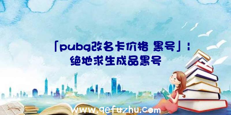 「pubg改名卡价格